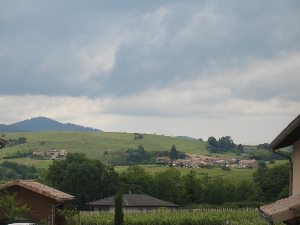 Les Glycines - Domaine Gilles Coperet Bed & Breakfast Régnié Eksteriør bilde