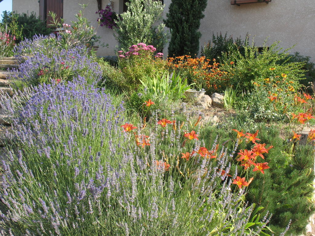 Les Glycines - Domaine Gilles Coperet Bed & Breakfast Régnié Eksteriør bilde